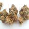 Sticky Sherbert GG Feminized Seeds (Seedkeepers)
