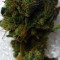 Brain Cake feminized seeds