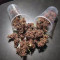 Black Cream Auto feminized seeds for sale: information and reviews