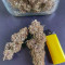 Vente de graines de cannabis Wedding Glue Auto (Fast Buds)