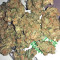 Amnesia Seeds (Seedstockers)
