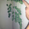 Northern Lights Auto feminized seeds (Green House Seeds)