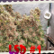 LSD Seeds - Cannabis Strain Seeds for Sale