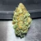 Semillas Feminizadas Florida Sunrise Autoflower (Seedkeepers)