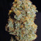 Desfrán feminized seeds