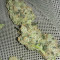 Graines de cannabis King Kong (Big Buddha Seeds)