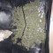 Frisian Duck Seeds - Cannabis Strain Seeds for Sale