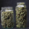 Deep Mandarine fem: seeds for sale, strain information and customer reviews