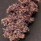 Grand Daddy Purple Fast Version (Herbies Seeds)