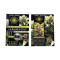 Graines de cannabis La Blanca Gold (Vision Seeds)