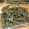 Dr. Grinspoon (Barney's Farm)