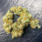 Graines féminisées de Quarter Pounder Autoflower (EGS)