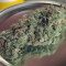 Auto Gorilla Blue Seeds - Cannabis Strain Seeds for Sale