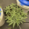 Auto Orange Bud Seeds (Dutch Passion) - Cannabis Strain Seeds for Sale