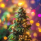 Apple Betty Auto Feminized Seeds (Herbies Seeds)