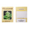Amazonia regular (De Sjamaan Seeds)