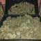 Candy Kush Auto feminized seeds