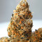 French Cookies Seeds