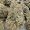 Frozen Biscotti Seeds (Dutch Passion)