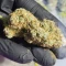 White Widow Auto (Herbies Seeds)