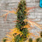 Acquista Auto Skywalker Haze ⚔️ semi femminizzati di Dutch Passion