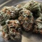 Biscotti Auto Seeds (Green House Seeds)