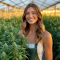 Bruce Banner Auto Feminized Seeds (Fast Buds)
