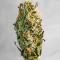เมล็ด Gorilla Purple Autoflower (EGS)