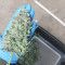 Bruce Banner Seeds (Fast Buds) - Cannabis Strain Seeds for Sale