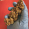 Auto Night Queen Seeds
