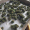 Blue Cheese Seeds (RQS) - Cannabis Strain Seeds for Sale