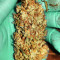West Coast O.G. Auto Seeds