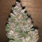 Graines de cannabis Road Dawg Regular (Karma Genetics)