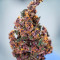 Keepers OG Seeds (Seedkeepers)