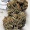 Gorilla Cookies Fast Flowering Seeds(Fast Buds) - Cannabis Strain Seeds for Sale