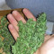 Critical Skunk Regular (Mr. Nice Seedbank)