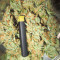 Delicious Cookies Feminized Seeds (Delicious Seeds)