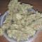 Buy Amnesia #7 feminized seeds by Exotic Seeds