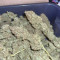 Original Cinderella Auto feminized seeds for sale: information and reviews