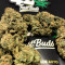 GG#4 Original Glue Seeds