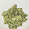 Dogstar Dawg (Big Head Seeds)