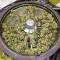 Kush N Cookies CBD feminized seeds