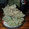 Franco's Lemon Cheese feminized seeds for sale