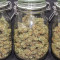 Original Auto Cheese Seeds