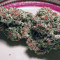 Graines de cannabis Purple Punch (Big Head Seeds)