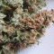 Gorilla Cookies Seeds