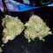 Auto White Widow Seeds (Pyramid Seeds)