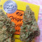 Wedding Cake Auto feminized seeds for sale by Original Sensible Seeds