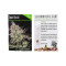 Graines de cannabis Super Diesel (Seedmakers Seeds)
