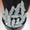 Purple Punch Seeds (Barney's Farm) - Cannabis Strain Seeds for Sale